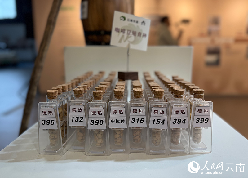 “出山”走向“出圈”开元棋牌云南咖啡：从(图4)