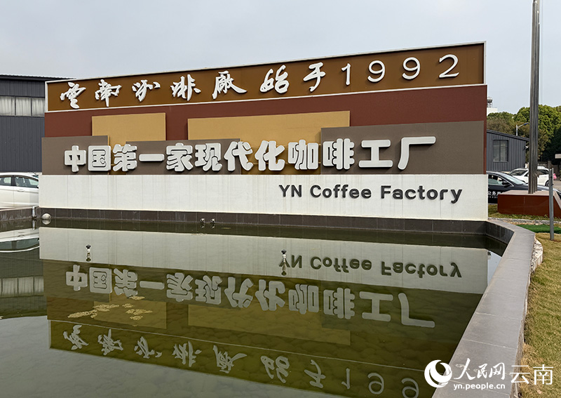 “出山”走向“出圈”开元棋牌云南咖啡：从(图6)