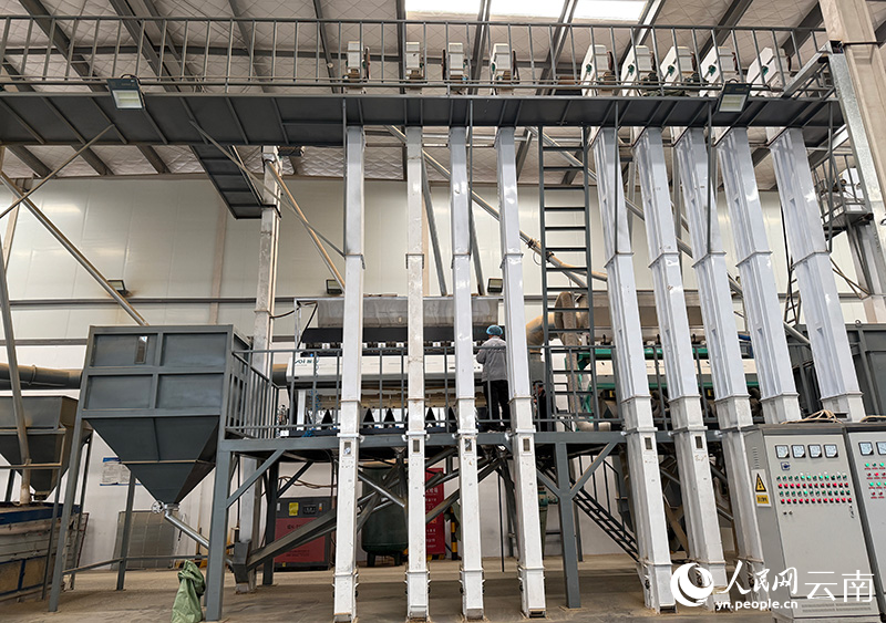 “出山”走向“出圈”开元棋牌云南咖啡：从(图5)